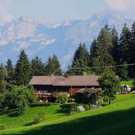 Apart Ponholz Hart im Zillertal Exterior foto